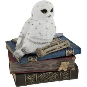 Veronese Design Wise Snow Owl Resting on Scholar's Books Trinket Box