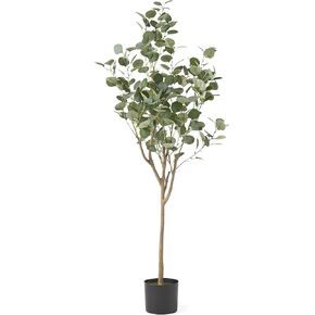 Christopher Knight Home Artificial Plants, 5 ft x 2 ft, Green + Black