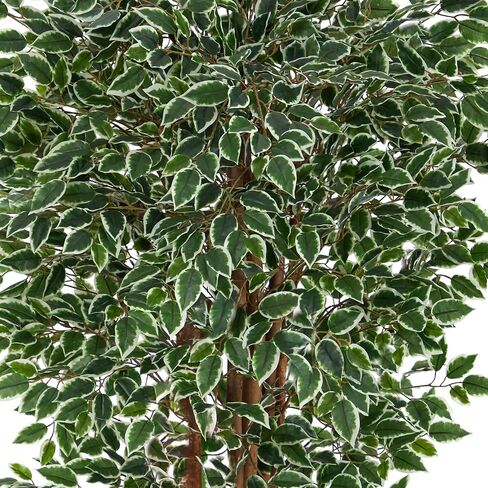 Nearly Natural 70in. Variegated Ficus Artificial Tree UV Resistant (Indoor/Outdoor) in Saudi Arabia
