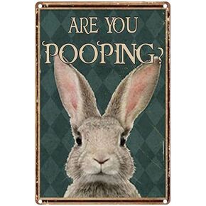 Rabbit Are You Pooping?Funny Tin Sign Vintage Fine Cave Art Decorations Metal Sign Wall Decor 5.5x8 Inches