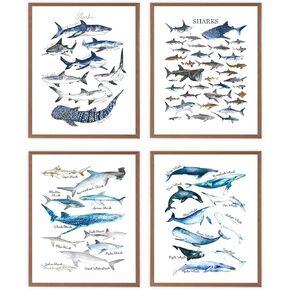 VNWEK Watercolor Rustic Sharks and Whales Wall Art Poster Prints Unframed 8"x10"Set Of 4,Farmhouse Marine Life Decorations for Home Bedroom Living Room Classroom,Gifts For Marine Life Lovers Students