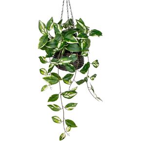 Oairse Artificial Hanging Plants Fake Hanging Plants with Pots Faux Golden Pothos N‘ Joy Potted Plants Hanging Wall Plants with Basket Pot for Wall Shelves Bedroom Bathroom Indoor Outdoor