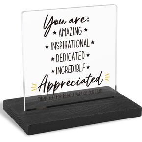 You Are Appreciated, Employee Appreciation Gift, Thank You Gift, Appreciation Gift, Modern Transparent Acrylic Desk Plaque with Inspirational Quotes, 10 x 10 x 1.5 cm,XXY64