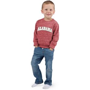 Little King NCAA Toddler Boys and Girls Crewneck Knobby Sweatshirt with Tackle Twill Letters-Team Colors 2T 3T 4T