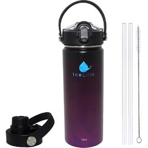 24 Oz Stainless Steel Water Bottle - Straw Lid & Spout Lid - Vacuum Insulated, Leakproof, BPA-Free- Ideal Gift for Sports, Travel, Workouts & Everyday Use – Fit Cup Holders (Crimson Crest)