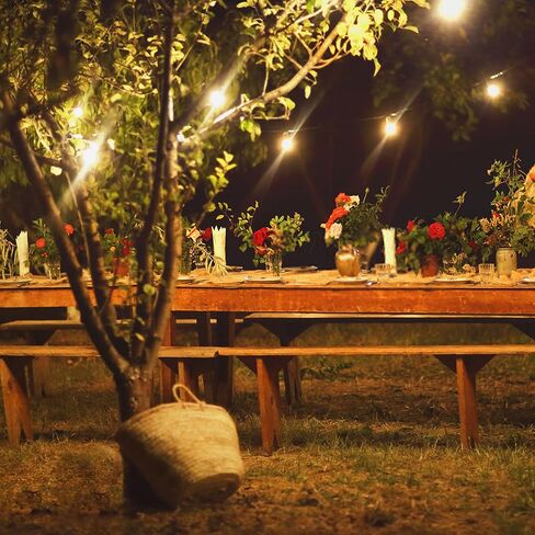 مصابيح LED بقدرة 3 وات قابلة للتعتيم منخفضة القوة تعادل 25 وات لمبات الإضاءة، E26 قاعدة قياسية G40 لمبات إضاءة صغيرة كروية، 2200 كلفن ضوء دافئ لإضاءة غرفة النوم والدراسة، زجاج كهرماني، 110 فولت، قطعتان in Kuwait