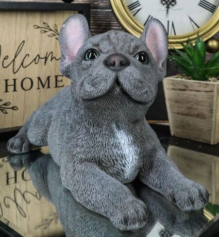 Ebros Gift Realistic Lifelike Gray French Bulldog Puppy Sitting On His Belly Figurine 8.25" Long Frenchie Figurine Dog Animal Collectible in Saudi Arabia