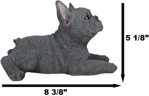 Ebros Gift Realistic Lifelike Gray French Bulldog Puppy Sitting On His Belly Figurine 8.25" Long Frenchie Figurine Dog Animal Collectible in Saudi Arabia