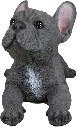 Ebros Gift Realistic Lifelike Gray French Bulldog Puppy Sitting On His Belly Figurine 8.25" Long Frenchie Figurine Dog Animal Collectible in Saudi Arabia