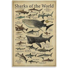 CYPGTBCK Types of Shark Poster Shark Nowledge Education Canvas Art Poster And Wall Art Picture Print Modern Family Bedroom Decor Posters 12x18inch(30x45cm)