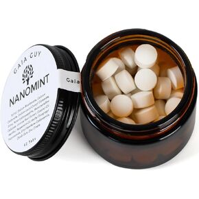 Gaia Guy | NanoMint Fluoride Free Toothpaste | Nano Hydroxyapatite Remineralizing Toothpaste Tablets - Nano Hydroxyapatite (nHA), Plastic Free, Eco-Friendly Glass Jar | 62 Tabs