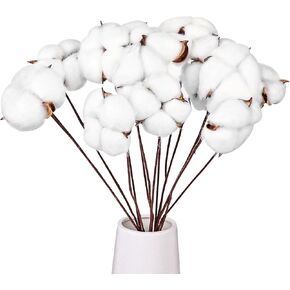 13 حزمة من DomeStar من سيقان القطن، سيقان قطنية مجففة طبيعية مقاس 16.5 سم مع أزهار قطنية وسيقان زهور لحشو المزهرية in Kuwait