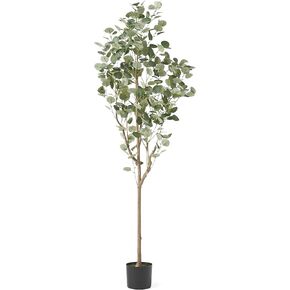 نباتات كريستوفر نايت هوم الاصطناعية، 6 قدم × 2.5 قدم، أخضر + أسود in Kuwait