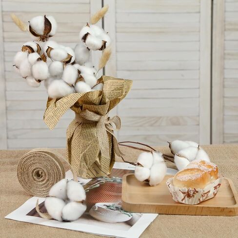 13 حزمة من DomeStar من سيقان القطن، سيقان قطنية مجففة طبيعية مقاس 16.5 سم مع أزهار قطنية وسيقان زهور لحشو المزهرية in Kuwait