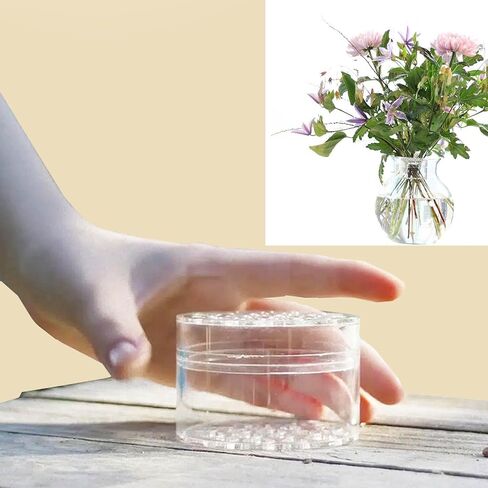 حامل جذعي حلزوني من Little Syohe للمزهريات الحلزونية DIY Ikebana الجذعية حامل حلقة 2 قطعة باقة حلزونية حامل ترتيب الزهور (كبير + صغير) in Kuwait