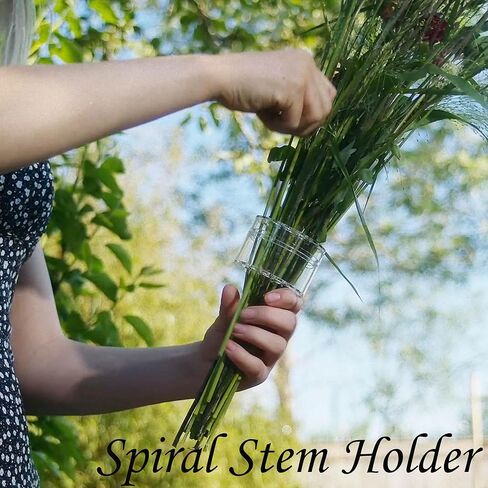حامل جذعي حلزوني من Little Syohe للمزهريات الحلزونية DIY Ikebana الجذعية حامل حلقة 2 قطعة باقة حلزونية حامل ترتيب الزهور (كبير + صغير) in Kuwait