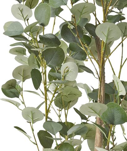 نباتات كريستوفر نايت هوم الاصطناعية، 6 قدم × 2.5 قدم، أخضر + أسود in Kuwait