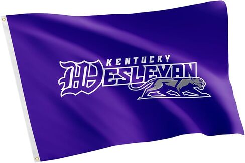 Desert Cactus Kentucky Wesleyan College Flag Panthers Flag Banners 100% Polyester Indoor Outdoor 3x5 feet Flags (Style 1) in Saudi Arabia