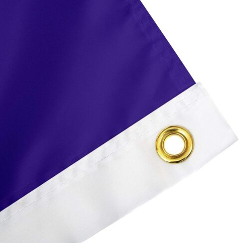 Desert Cactus Kentucky Wesleyan College Flag Panthers Flag Banners 100% Polyester Indoor Outdoor 3x5 feet Flags (Style 1) in Saudi Arabia