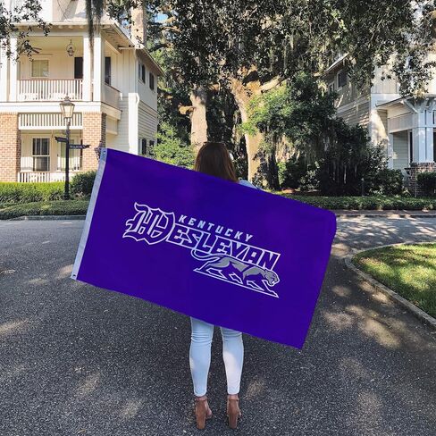 Desert Cactus Kentucky Wesleyan College Flag Panthers Flag Banners 100% Polyester Indoor Outdoor 3x5 feet Flags (Style 1) in Saudi Arabia