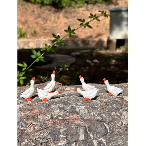 Tiny Garden Goose Fairy Garden Accessories Miniature Figurine Decoration for Mini Garden Micro Landscape Terrarium- 6 pcs Goose (6)