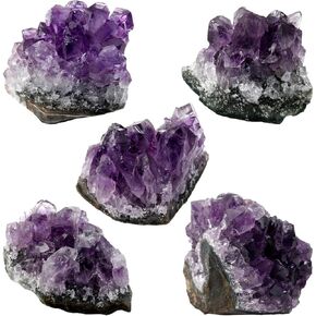 SUNYIK Natural Amethyst Quartz Crystal Cluster,Druzy Geode Specimen Gemstone Sculpture Sphere, Pack of 5