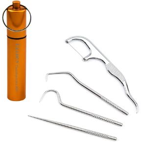 Portable Toothpicks Pocket Set, Dental Floss Picks, Reusable Flosser, Travel Tooth Picker, Flossers for Adults, Stainless Steel Teeth Cleaning Kit