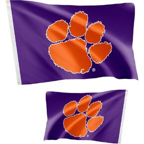 Desert Cactus Clemson University Flag Double Sided Tigers Banners 100% Polyester Indoor Outdoor 3x5 feet Flags (Double Sided - Flag D)