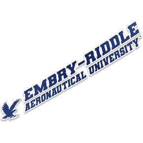 Desert Cactus Embry-Riddle Aeronautical University Daytona Eagles Name Logo Vinyl Decal Laptop Water Bottle Car Scrapbook (8 Inch Sticker)
