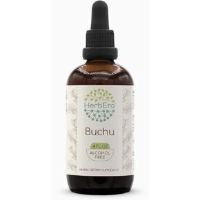 Buchu B120 Alcohol-Free Herbal Extract Tincture, Concentrated Liquid Drops Natural Buchu (Agathosma Betulina) Dried Leaf (4 fl oz)