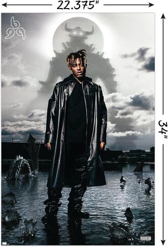 Trends International Juice WRLD - Fighting Demons Album Cover Wall Poster, 14.72" x 22.37", Barnwood Framed Version in Saudi Arabia