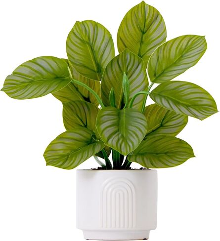 Nearly Natural 12in. Artificial Calathea Plant with Decorative Planter in Saudi Arabia