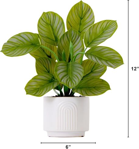 Nearly Natural 12in. Artificial Calathea Plant with Decorative Planter in Saudi Arabia
