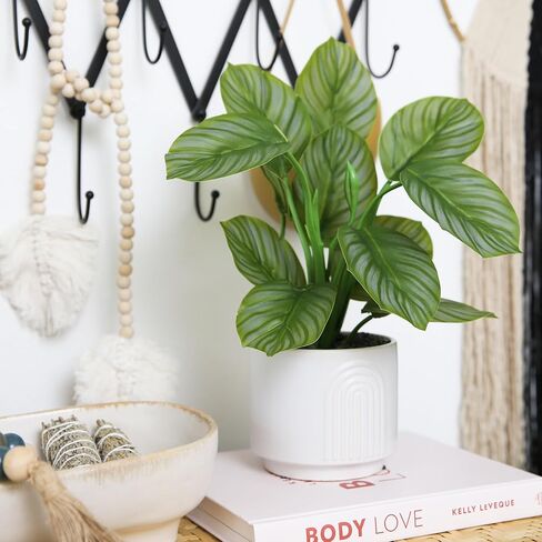 Nearly Natural 12in. Artificial Calathea Plant with Decorative Planter in Saudi Arabia