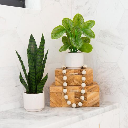 Nearly Natural 12in. Artificial Calathea Plant with Decorative Planter in Saudi Arabia