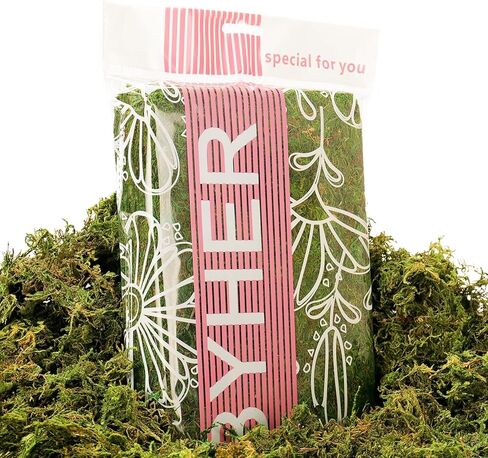 BYHER 10 أوقية طحلب صناعي مزيف للنباتات بوعاء، طحلب أخضر صناعي للمزارعين الداخليين ديكور المنزل حديقة خرافية الحرف اليدوية ديكور الزفاف (أخضر طازج) in Kuwait