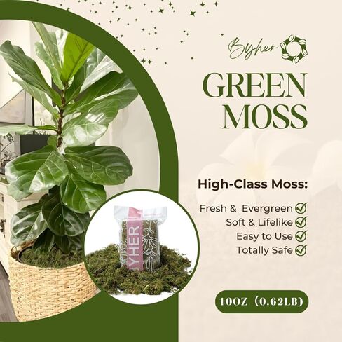 BYHER 10 أوقية طحلب صناعي مزيف للنباتات بوعاء، طحلب أخضر صناعي للمزارعين الداخليين ديكور المنزل حديقة خرافية الحرف اليدوية ديكور الزفاف (أخضر طازج) in Kuwait