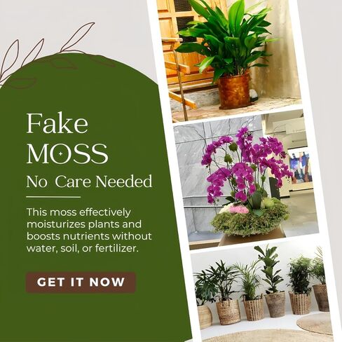 BYHER 10 أوقية طحلب صناعي مزيف للنباتات بوعاء، طحلب أخضر صناعي للمزارعين الداخليين ديكور المنزل حديقة خرافية الحرف اليدوية ديكور الزفاف (أخضر طازج) in Kuwait