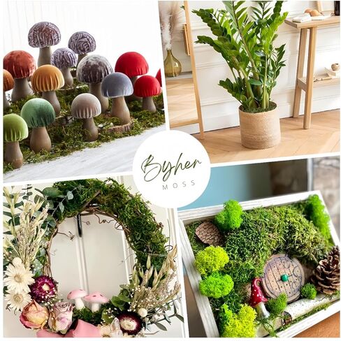 BYHER 10 أوقية طحلب صناعي مزيف للنباتات بوعاء، طحلب أخضر صناعي للمزارعين الداخليين ديكور المنزل حديقة خرافية الحرف اليدوية ديكور الزفاف (أخضر طازج) in Kuwait