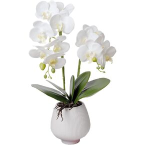 Orchid Artificial Orchids Flowers with Vase White Phalaenopsis Plant Silk Faux Orchids Fake Flowers Arrangements for Home Decoration Living Room Office Bedroom Bathroom Kitchen Dining Room
