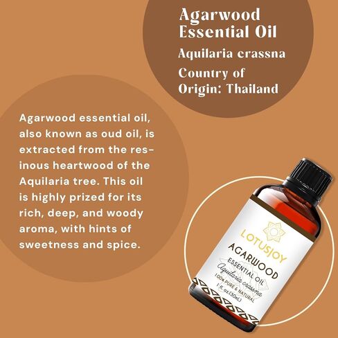 Douglas Fir Essential Oil, Pure Natural for Diffuser Holiday Candle DIY - 1 Oz in Saudi Arabia