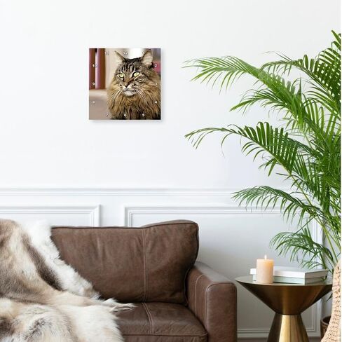 3dRose LLC Maine Coon 10 by 10-Inch Wall Clock in Saudi Arabia