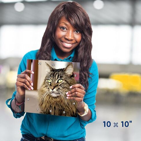 3dRose LLC Maine Coon 10 by 10-Inch Wall Clock in Saudi Arabia