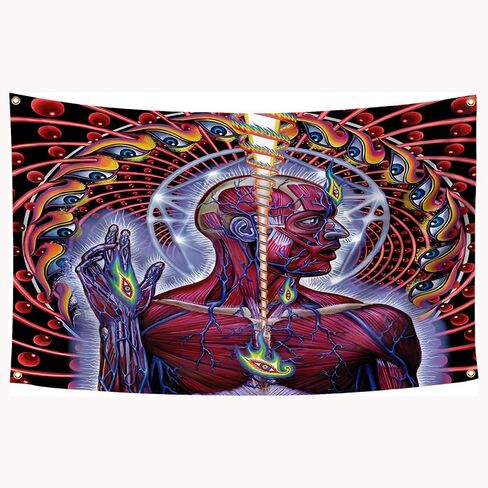 لافتة من القماش ضخمة من Obainpu Tool Lateralus، نسيج مقاس 3 × 5 أقدام، غطاء ألبوم علم معلق على الحائط، فن للأخوة والرجال، ديكور غرفة الكهف وحفلات الكلية in Kuwait