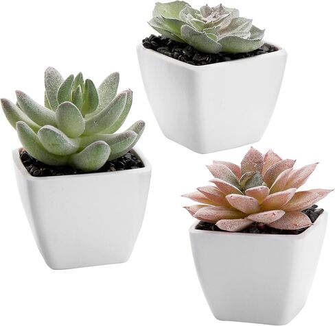 MyGift Artificial Assorted Mini Succulents Plants in Modern White Cube Shaped Ceramic Planter Pots, Set of 3 / Small Potted Colorful Faux Succulent Plants in Saudi Arabia