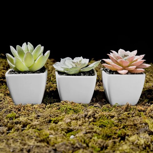MyGift Artificial Assorted Mini Succulents Plants in Modern White Cube Shaped Ceramic Planter Pots, Set of 3 / Small Potted Colorful Faux Succulent Plants in Saudi Arabia