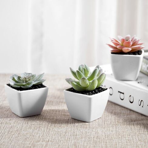 MyGift Artificial Assorted Mini Succulents Plants in Modern White Cube Shaped Ceramic Planter Pots, Set of 3 / Small Potted Colorful Faux Succulent Plants in Saudi Arabia