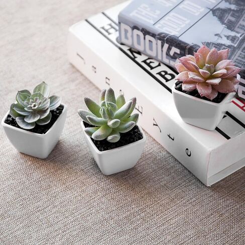MyGift Artificial Assorted Mini Succulents Plants in Modern White Cube Shaped Ceramic Planter Pots, Set of 3 / Small Potted Colorful Faux Succulent Plants in Saudi Arabia