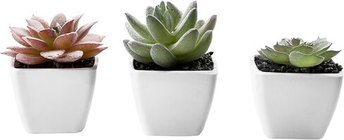 MyGift Artificial Assorted Mini Succulents Plants in Modern White Cube Shaped Ceramic Planter Pots, Set of 3 / Small Potted Colorful Faux Succulent Plants in Saudi Arabia