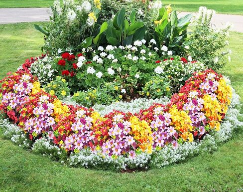 Artificial Daisy Flowers 6 Bundles, UV Resistant Fake Silk Flowers, No Fade Greenery Shrubs Plants for Garden Farmhouse Porch Wedding Indoor Outdoor Home Decor (Dark Purple) in Saudi Arabia